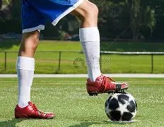 山东体育赛,事上半年助,力经济,开云体育,开云体育官网,开云体育app,开云体育平台,KAIYUN,SPORTS,kaiyun登录入口