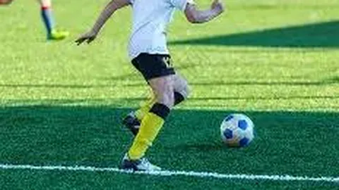 开云体育官方网站网址 产品 091437 lfn