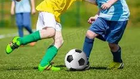 开云体育官方网站网址 产品 095457 vaj