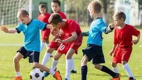 开云体育官方网站网址 资讯 095611 j0w