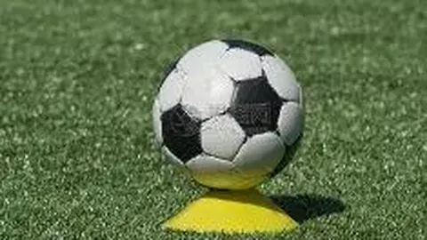 开云体育官方网站网址 资讯 095715 erh