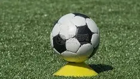 《疯狂动物城2》荣登迪士尼今年中国电影头牌